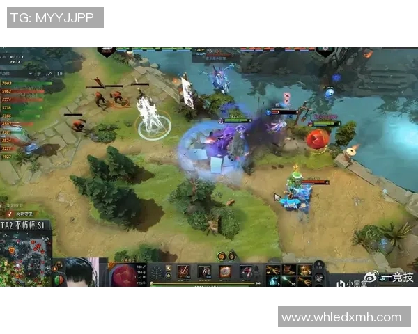 杨强独家揭秘DOTA2游戏策略与心得分享助你提升竞技水平